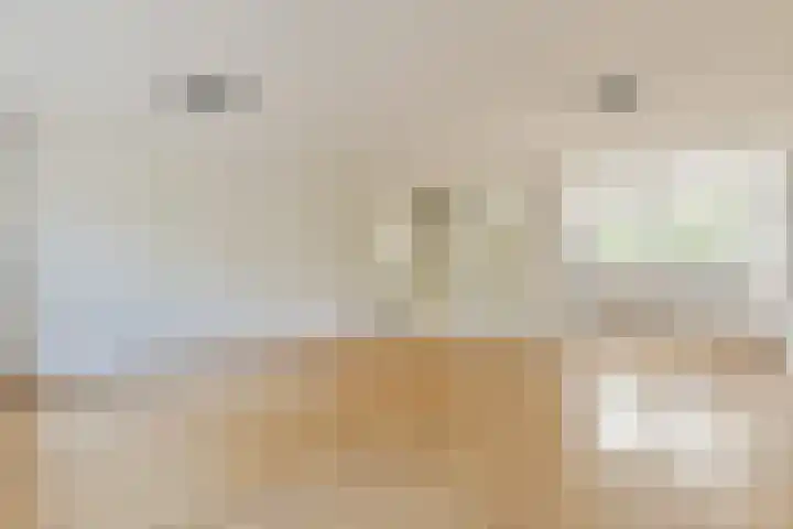 Galjoen 4 Diemen thumbnail 4