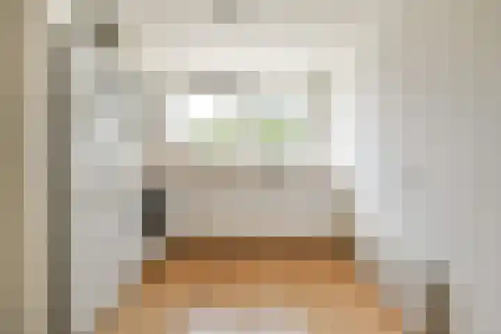 Galjoen 4 Diemen thumbnail 5