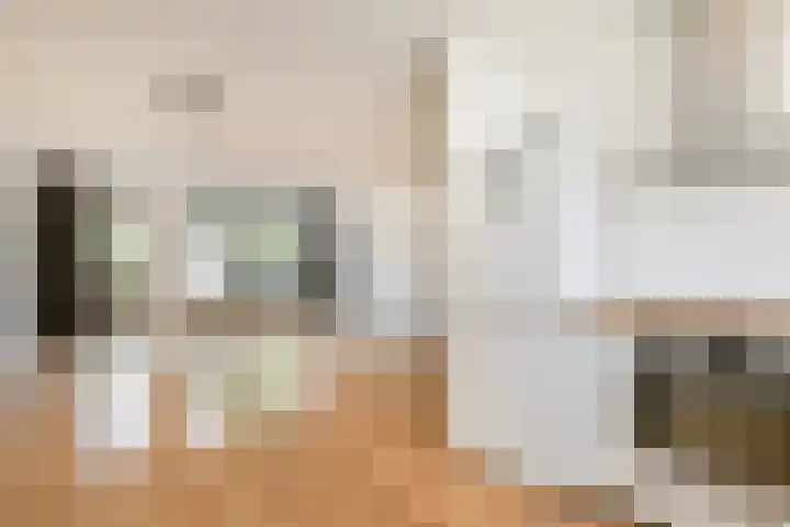 Galjoen 4 Diemen thumbnail 6