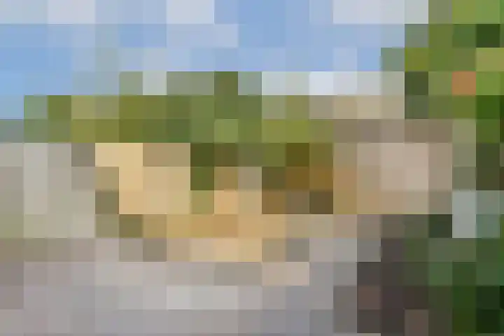 Galjoen 4 Diemen thumbnail 7