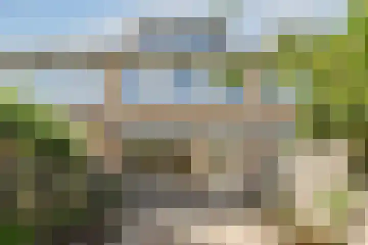 Galjoen 4 Diemen thumbnail 8