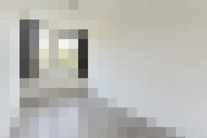 Galjoen 4 Diemen thumbnail 9