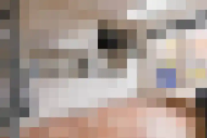 Galjoen 4 Nijkerk thumbnail 11