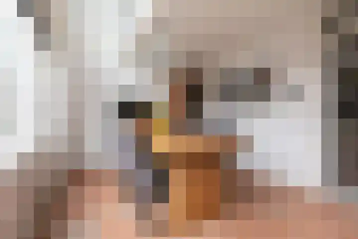 Galjoen 4 Nijkerk thumbnail 13