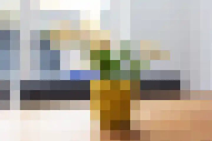 Galjoen 4 Nijkerk thumbnail 14