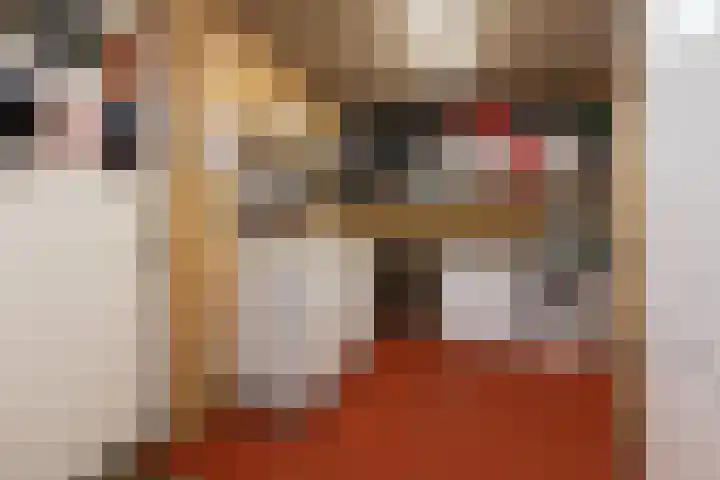Galjoen 4 Nijkerk thumbnail 16