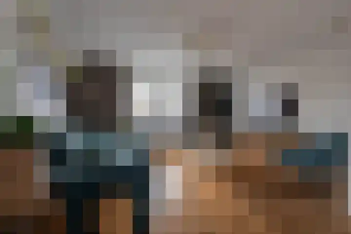Galjoen 4 Nijkerk thumbnail 18