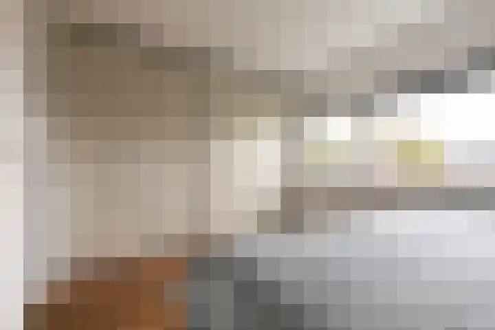Galjoen 4 Nijkerk thumbnail 30