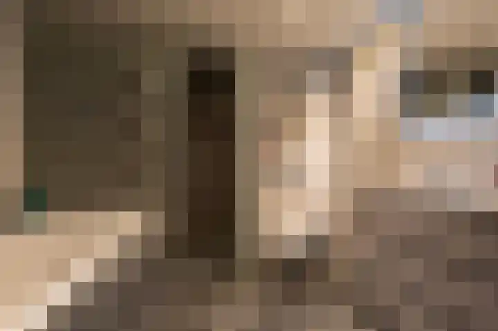 Galjoen 4 Nijkerk thumbnail 33