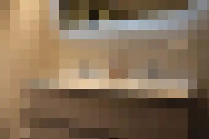 Galjoen 4 Nijkerk thumbnail 34