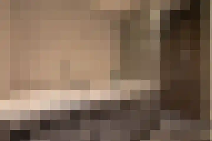 Galjoen 4 Nijkerk thumbnail 36
