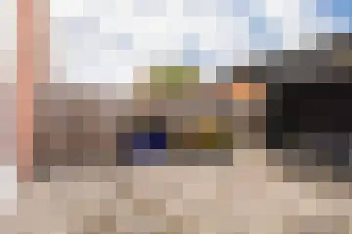 Galjoen 4 Nijkerk thumbnail 38