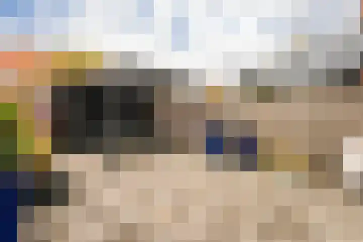 Galjoen 4 Nijkerk thumbnail 4