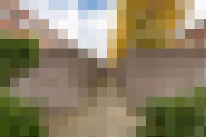 Galjoen 4 Nijkerk thumbnail 40
