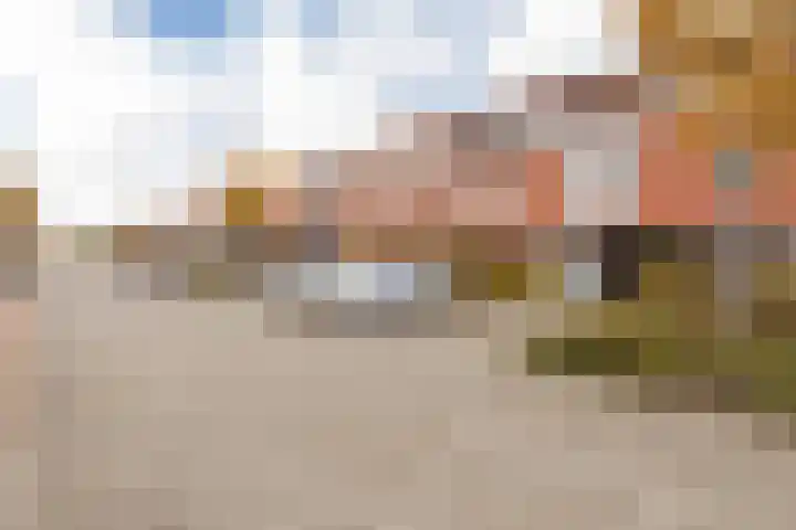 Galjoen 4 Nijkerk thumbnail 41
