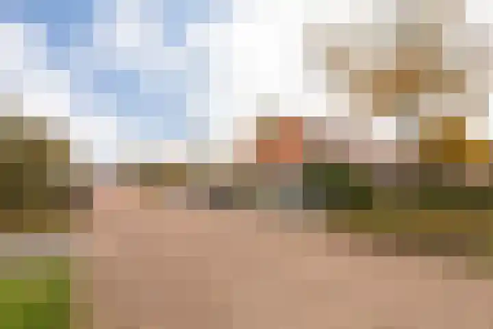 Galjoen 4 Nijkerk thumbnail 42