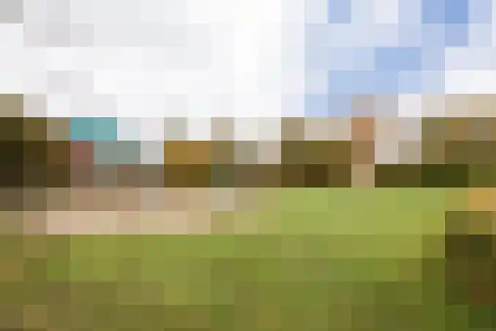 Galjoen 4 Nijkerk thumbnail 43