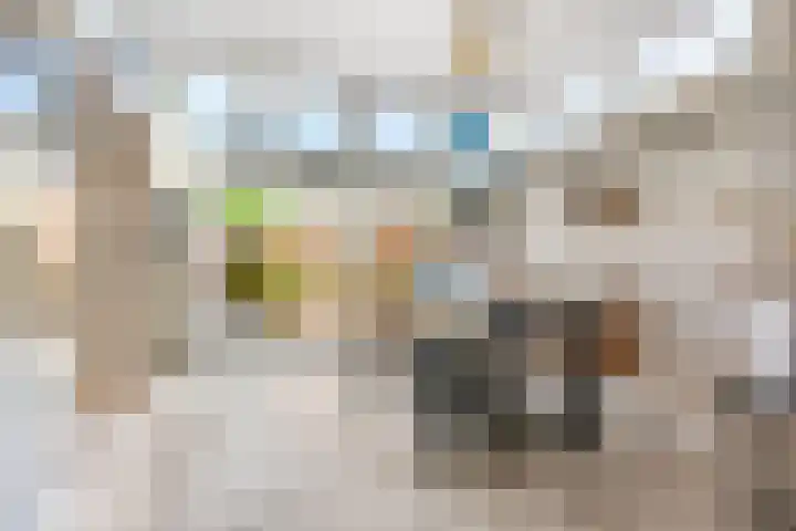 Galjoen 42 Veenendaal thumbnail 19