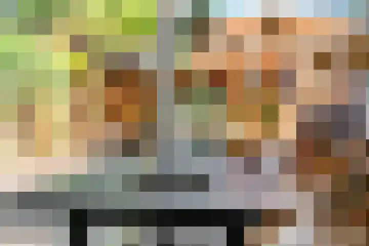 Galjoen 42 Veenendaal thumbnail 20