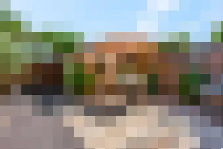 Galjoen 42 Veenendaal thumbnail 36