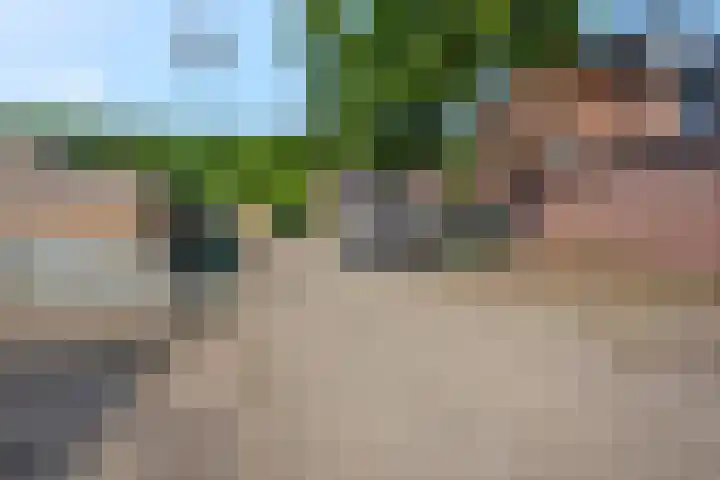Galjoen 42 Veenendaal thumbnail 41