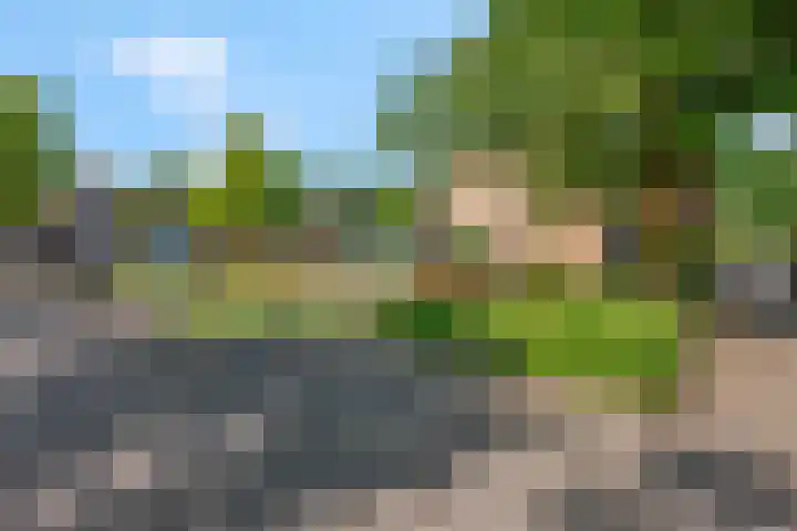 Galjoen 42 Veenendaal thumbnail 42