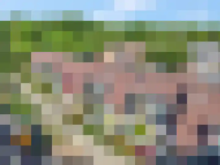 Galjoen 42 Veenendaal thumbnail 46