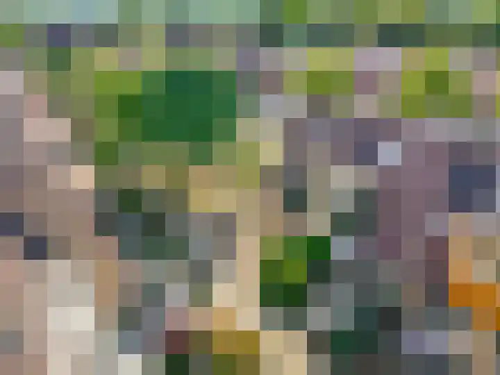 Galjoen 42 Veenendaal thumbnail 47