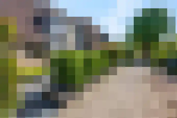 Galjoen 42 Veenendaal thumbnail 5