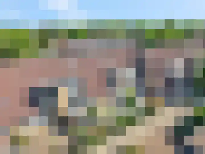 Galjoen 42 Veenendaal thumbnail 6