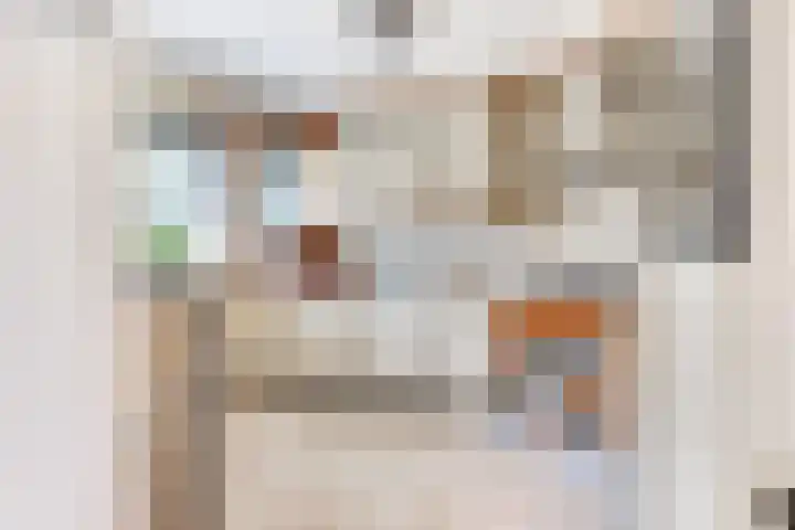 Galjoen 42 Veenendaal thumbnail 8
