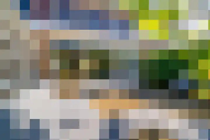 Galjoen 5 Diemen thumbnail 13