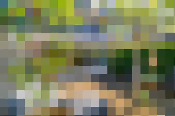 Galjoen 5 Diemen thumbnail 14