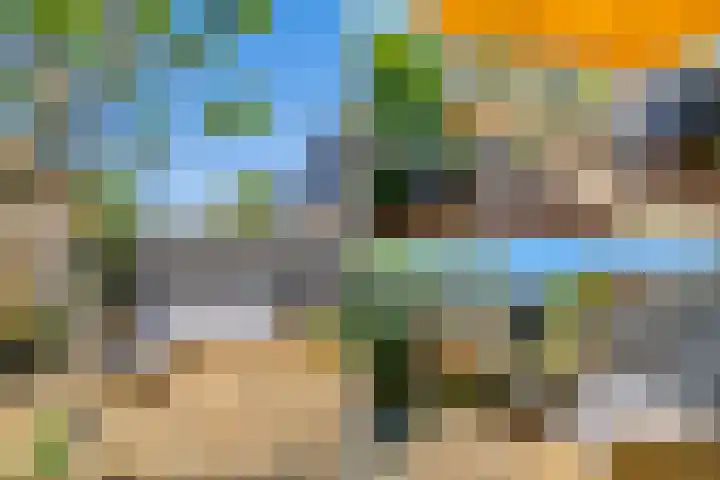 Galjoen 5 Diemen thumbnail 16
