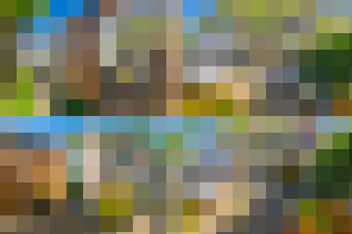 Galjoen 5 Diemen thumbnail 17