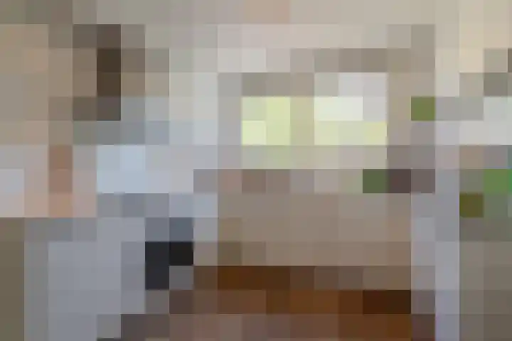Galjoen 5 Diemen thumbnail 20