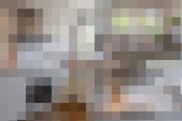 Galjoen 5 Diemen thumbnail 21