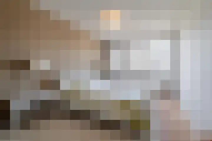 Galjoen 5 Diemen thumbnail 23