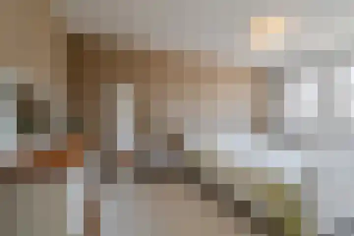 Galjoen 5 Diemen thumbnail 24