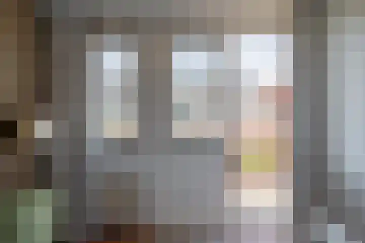 Galjoen 5 Diemen thumbnail 25