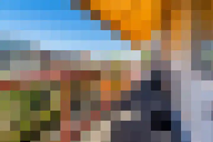 Galjoen 5 Diemen thumbnail 26