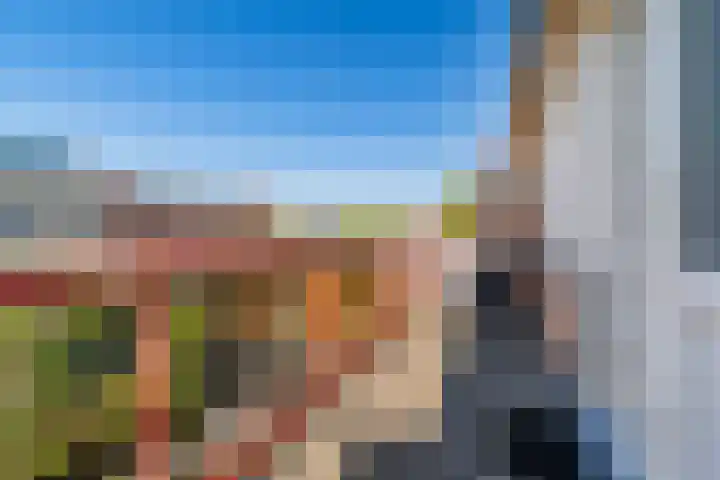 Galjoen 5 Diemen thumbnail 27