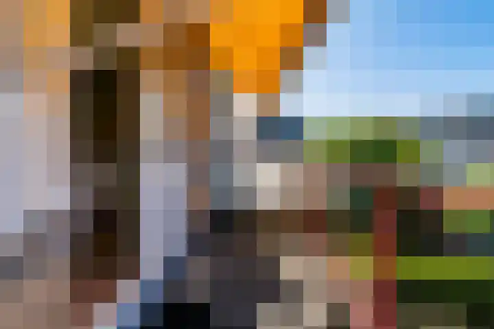 Galjoen 5 Diemen thumbnail 28