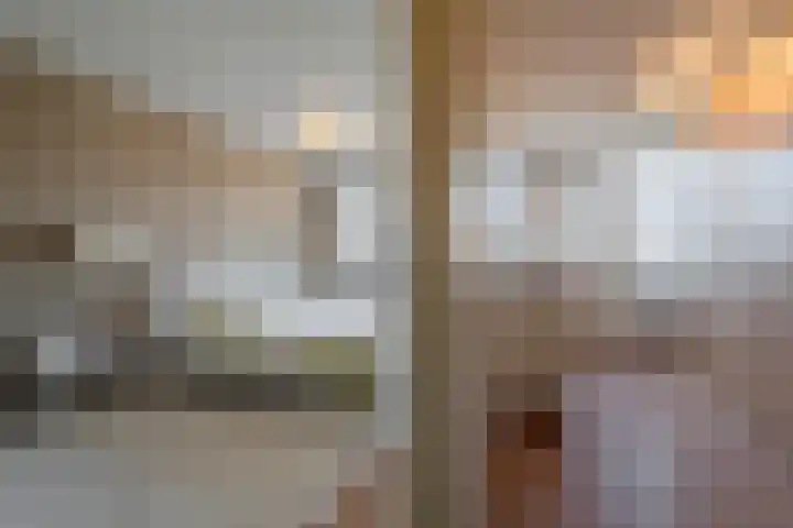 Galjoen 5 Diemen thumbnail 29