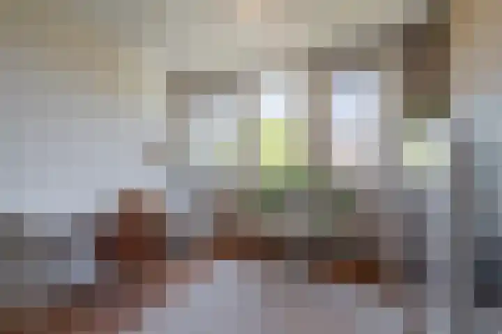 Galjoen 5 Diemen thumbnail 31