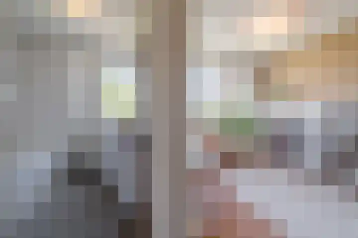 Galjoen 5 Diemen thumbnail 33
