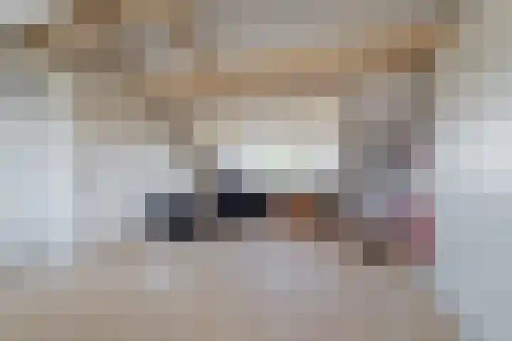 Galjoen 5 Diemen thumbnail 38