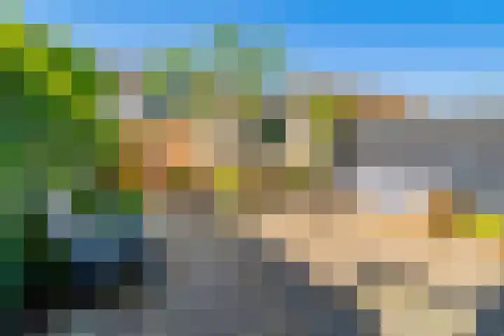 Galjoen 5 Diemen thumbnail 4