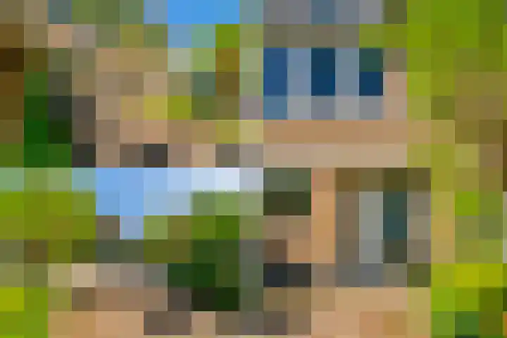 Galjoen 5 Diemen thumbnail 44