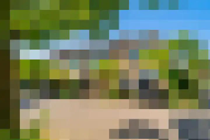 Galjoen 5 Diemen thumbnail 45